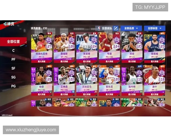 聚焦NBA总决赛巅峰对决与王朝荣耀新篇章激荡时代风云再起征程 - 副本 (5)